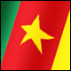3D Cameroon Flag