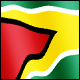 3D Guyana Flag