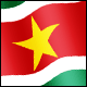 3D Suriname Flag