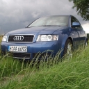 Audi On Grass.gif