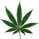 Cannabis Leaf Logo