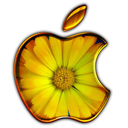 Floral Apple