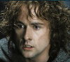Pippin 8