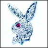Playboy Sparkly