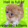 Retarded kittens