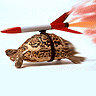 Rocket Tortoise