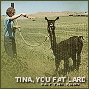 Tina you fat lard