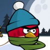 Winter red bird